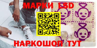 индика Гай