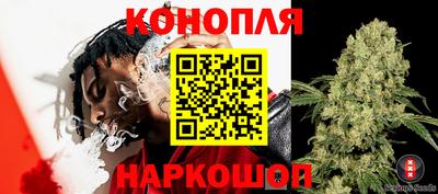 индика Гай