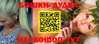 индика Гай