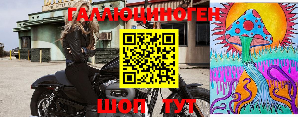 Псилоцибиновые грибы Psilocybe Шелехов