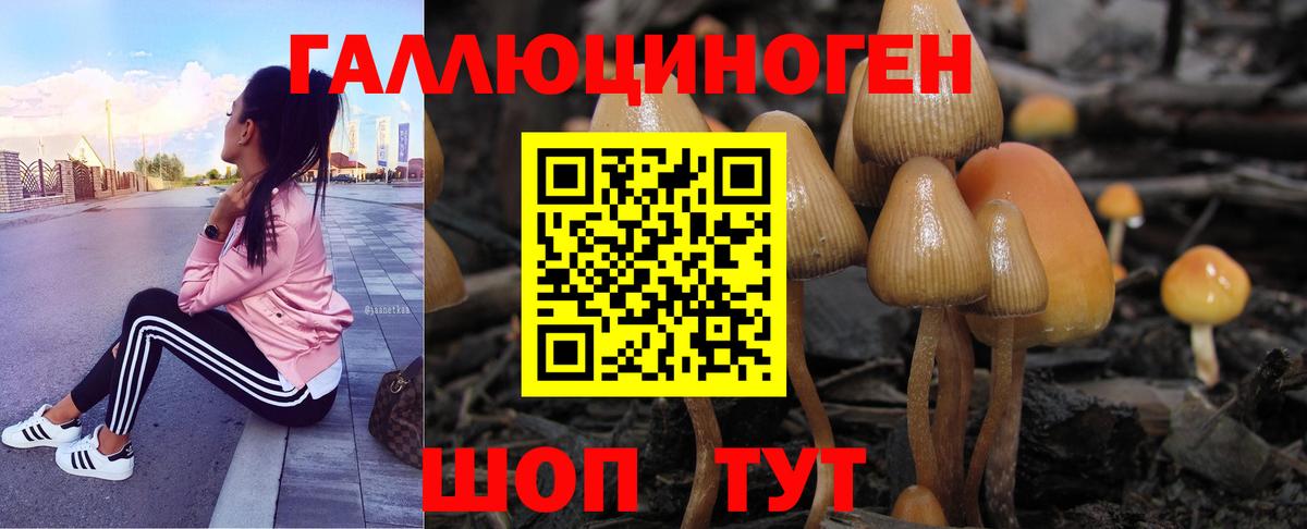 Псилоцибиновые грибы Cubensis  Галлюциногенные грибы Psilocybine cubensis  Шелехов  Вход с VPN 