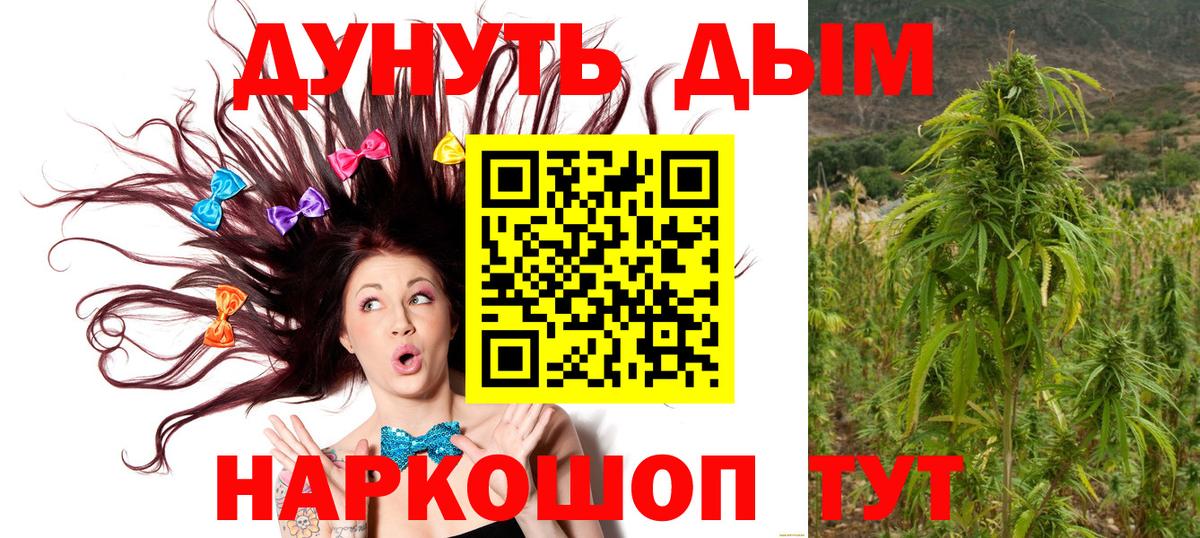 Бошки Шишки VHQ  Вход с VPN  МАРИХУАНА семена  Шелехов  Каннабис планчик  Конопля марихуана 